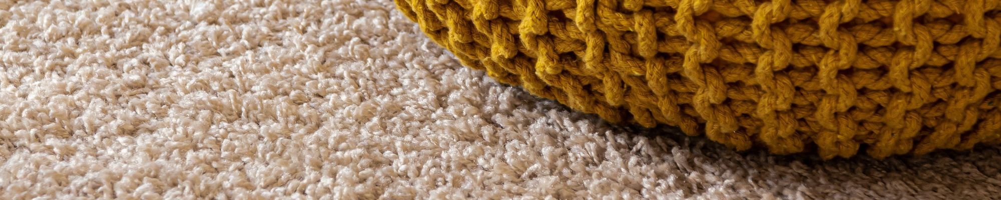 Carpet or Area Rug
